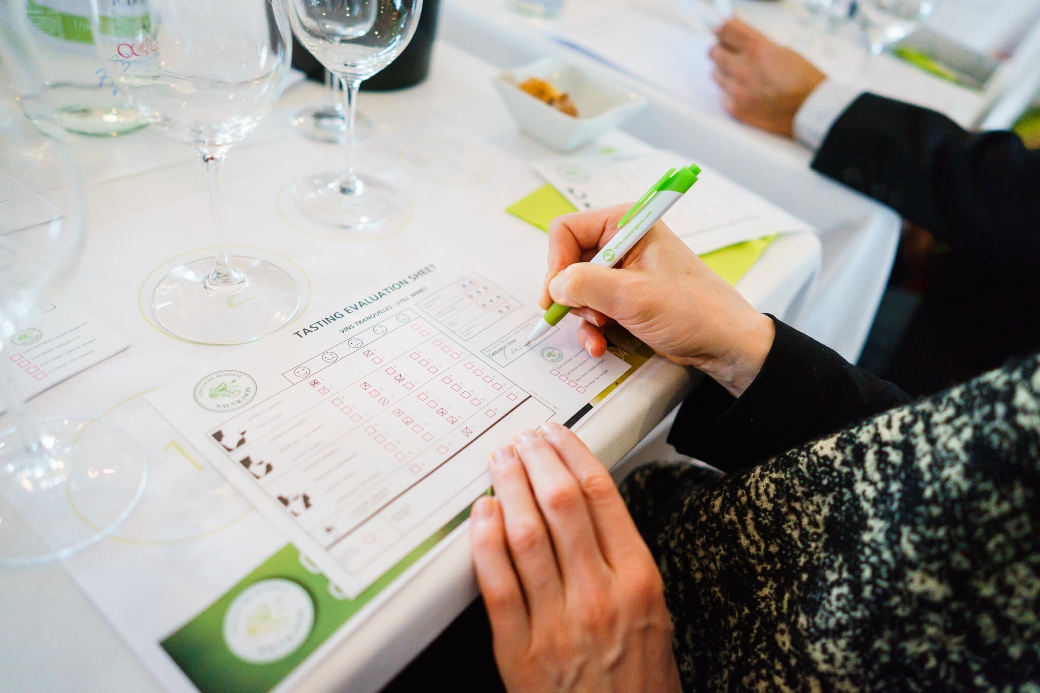 Bordeaux showcased at 2017 Concours Mondial du Sauvignon