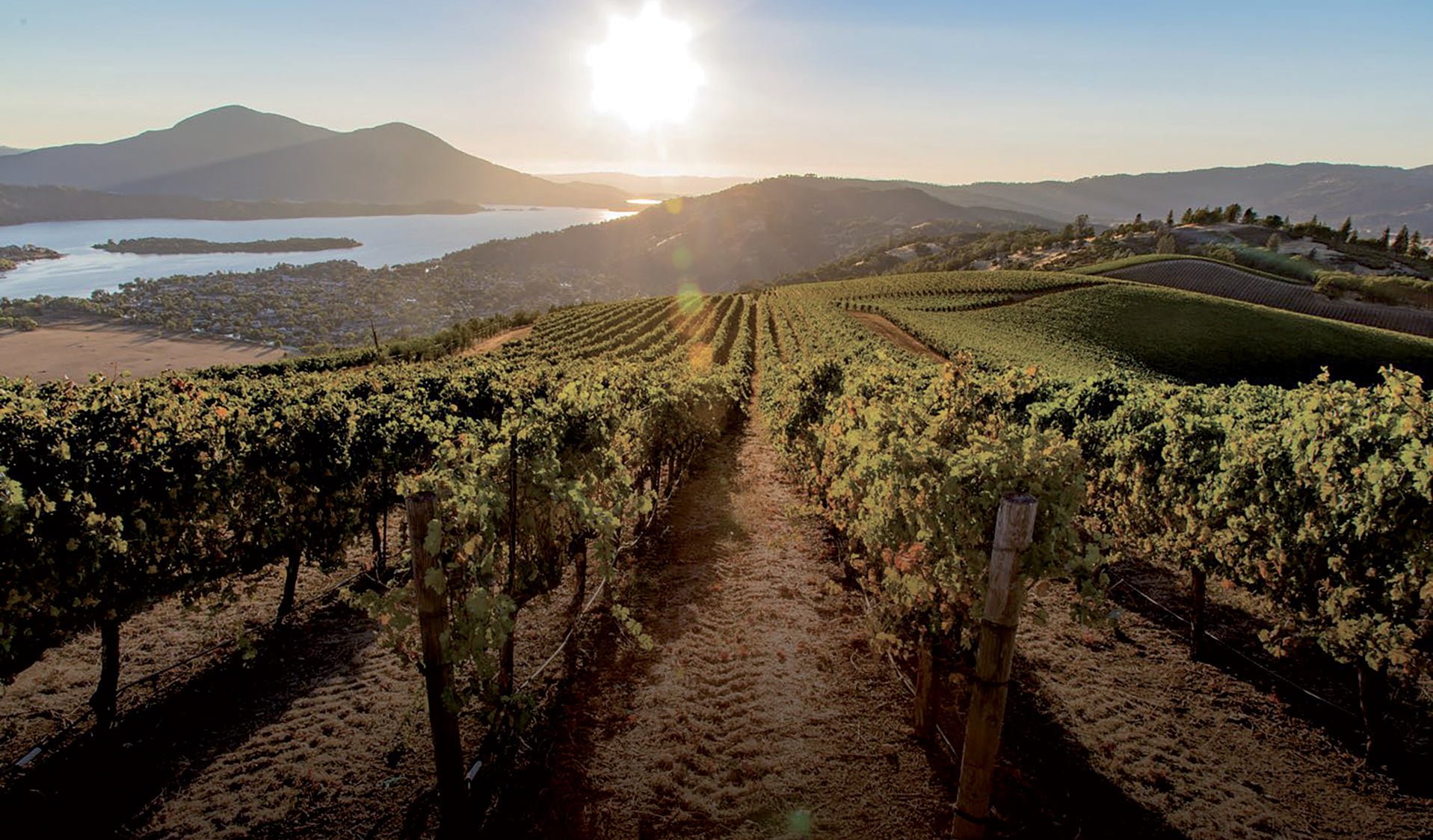 California / Washington