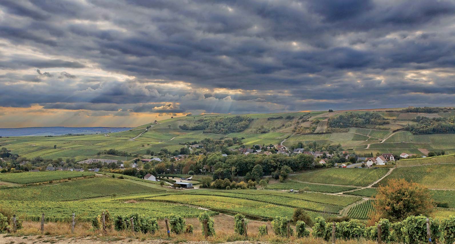 Introduction to France & Centre-Loire Valley