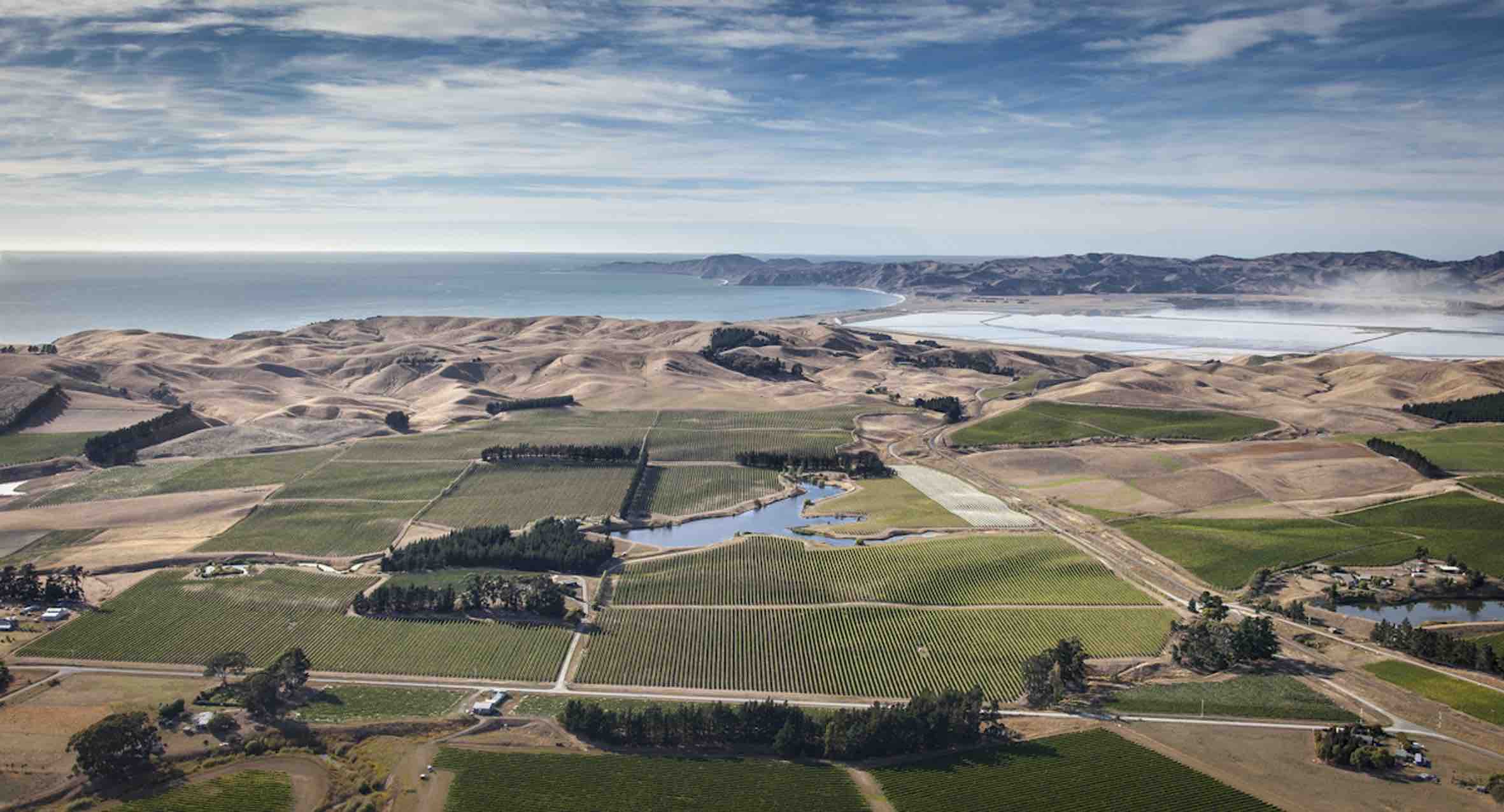 Marlborough Sauvignon Blanc drills down on its sub-regions   