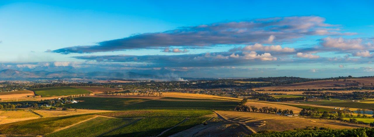 Sense and sensibility: An old Cape Town farm in a new era