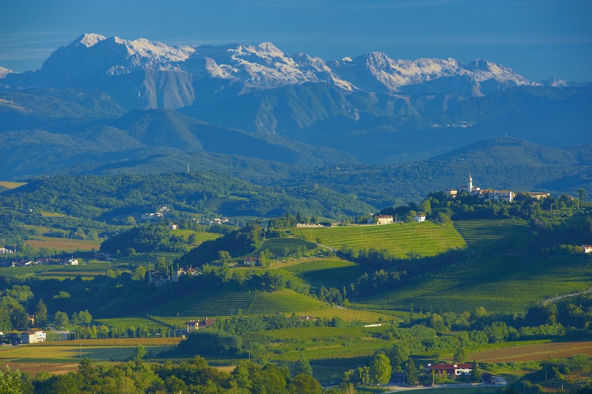 Sauvignon consolidates the region’s reputation as a prime source for stellar white wines