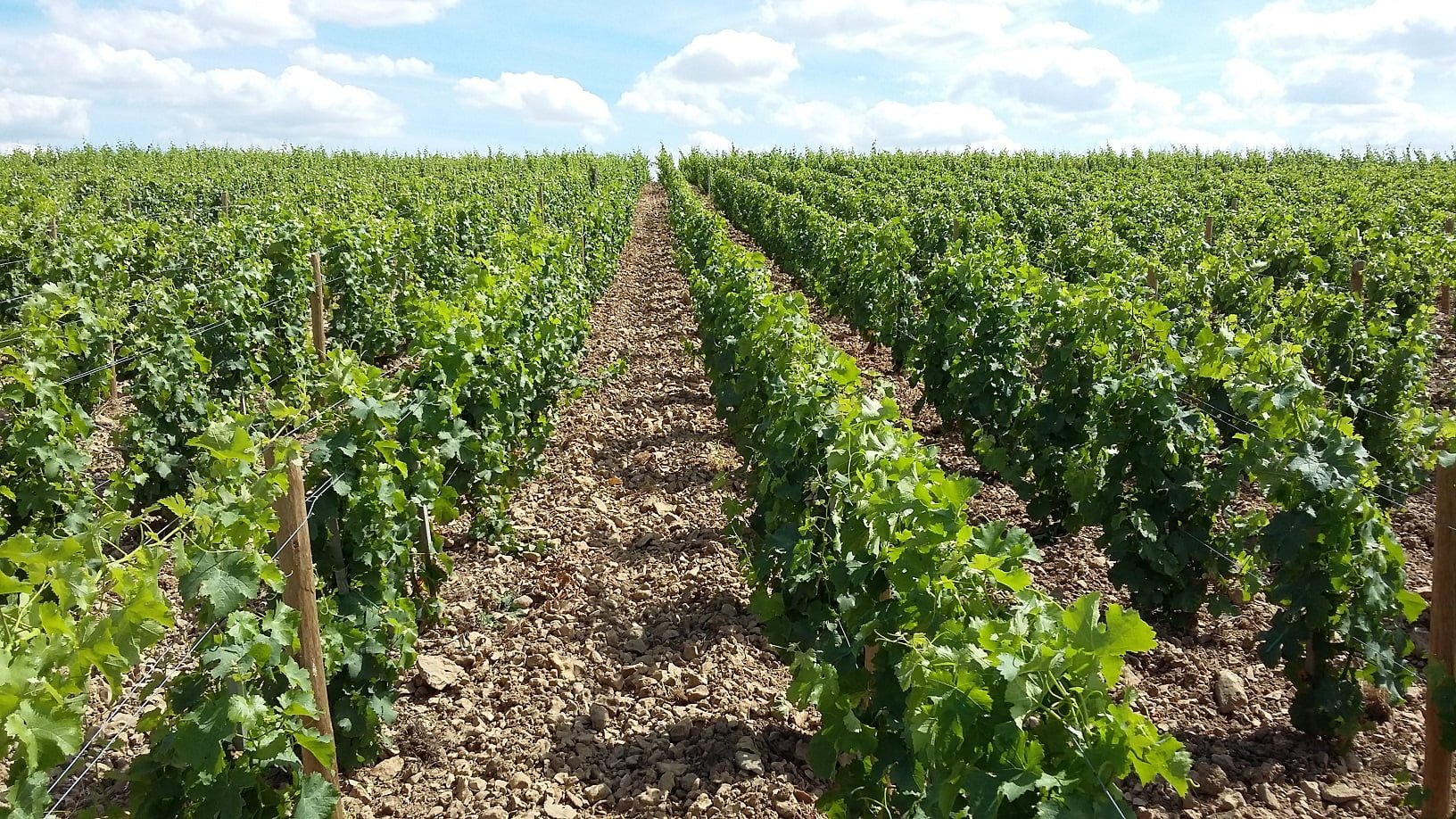 Photo credit: Sicavac